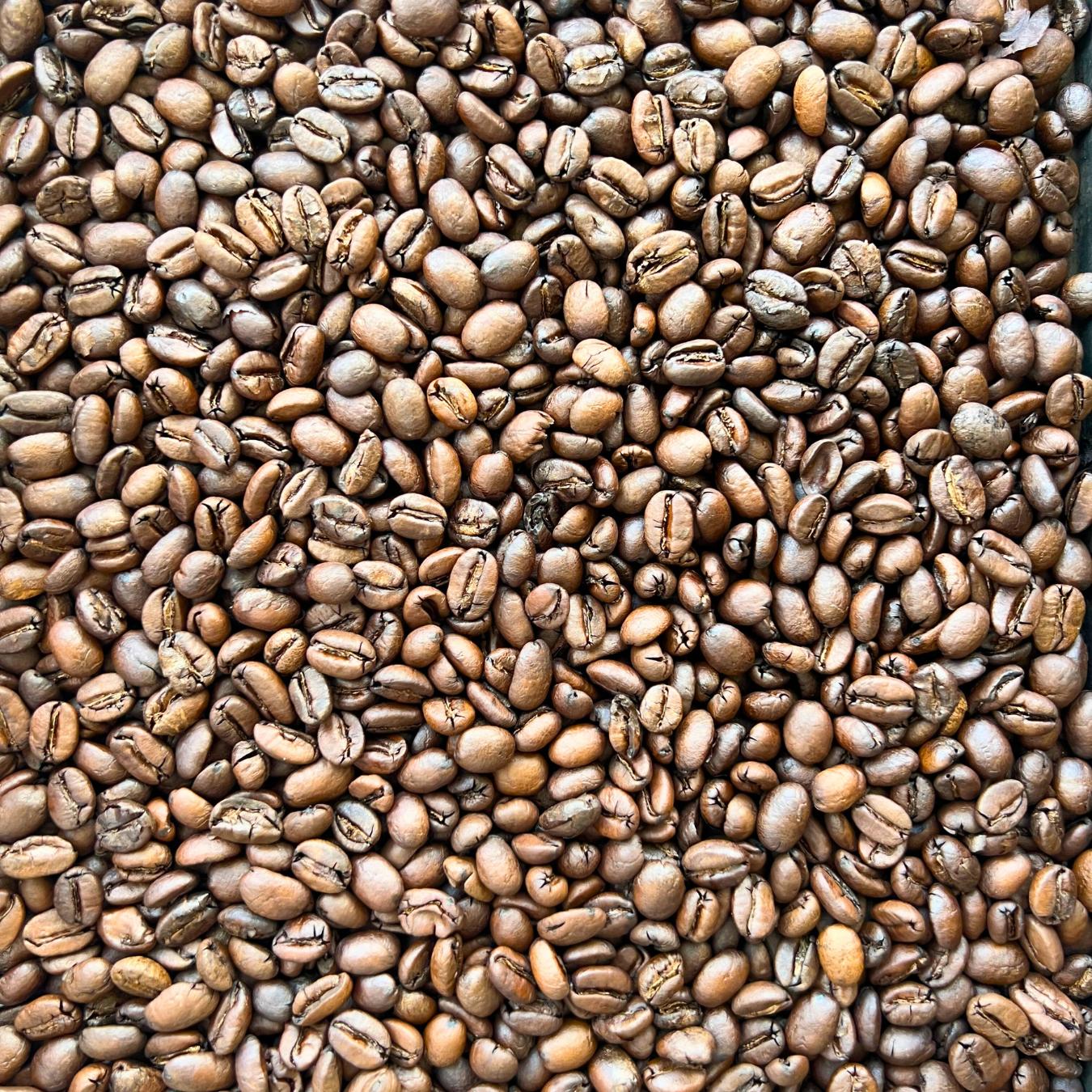 Close up of freshly roasted coffee beans