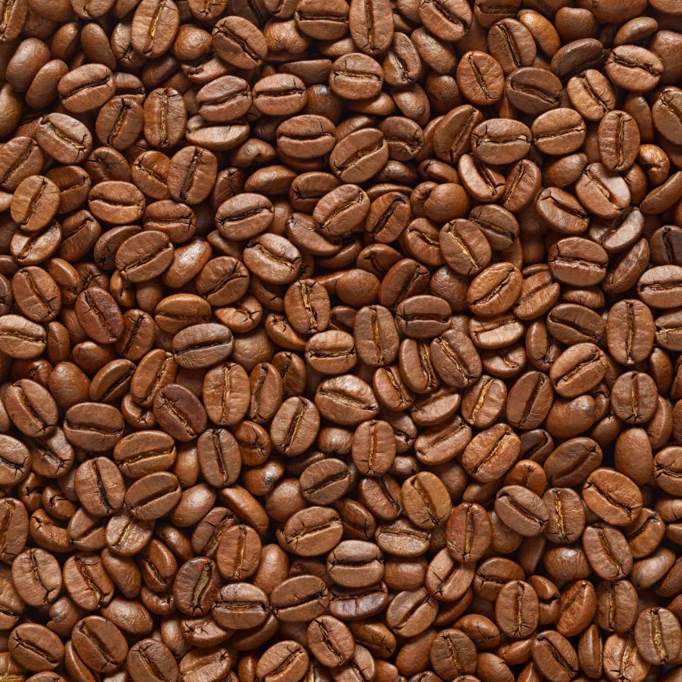 Image of freshly roasted coffee beans