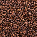 Image of freshly roasted coffee beans
