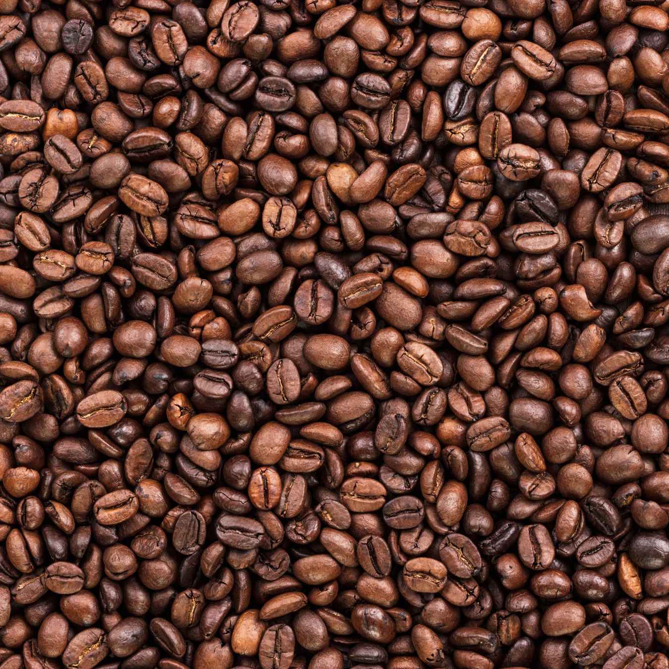 Image of freshly roasted coffee beans