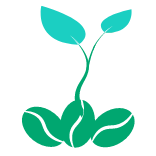 Graphic of coffee beans with sprout growing out