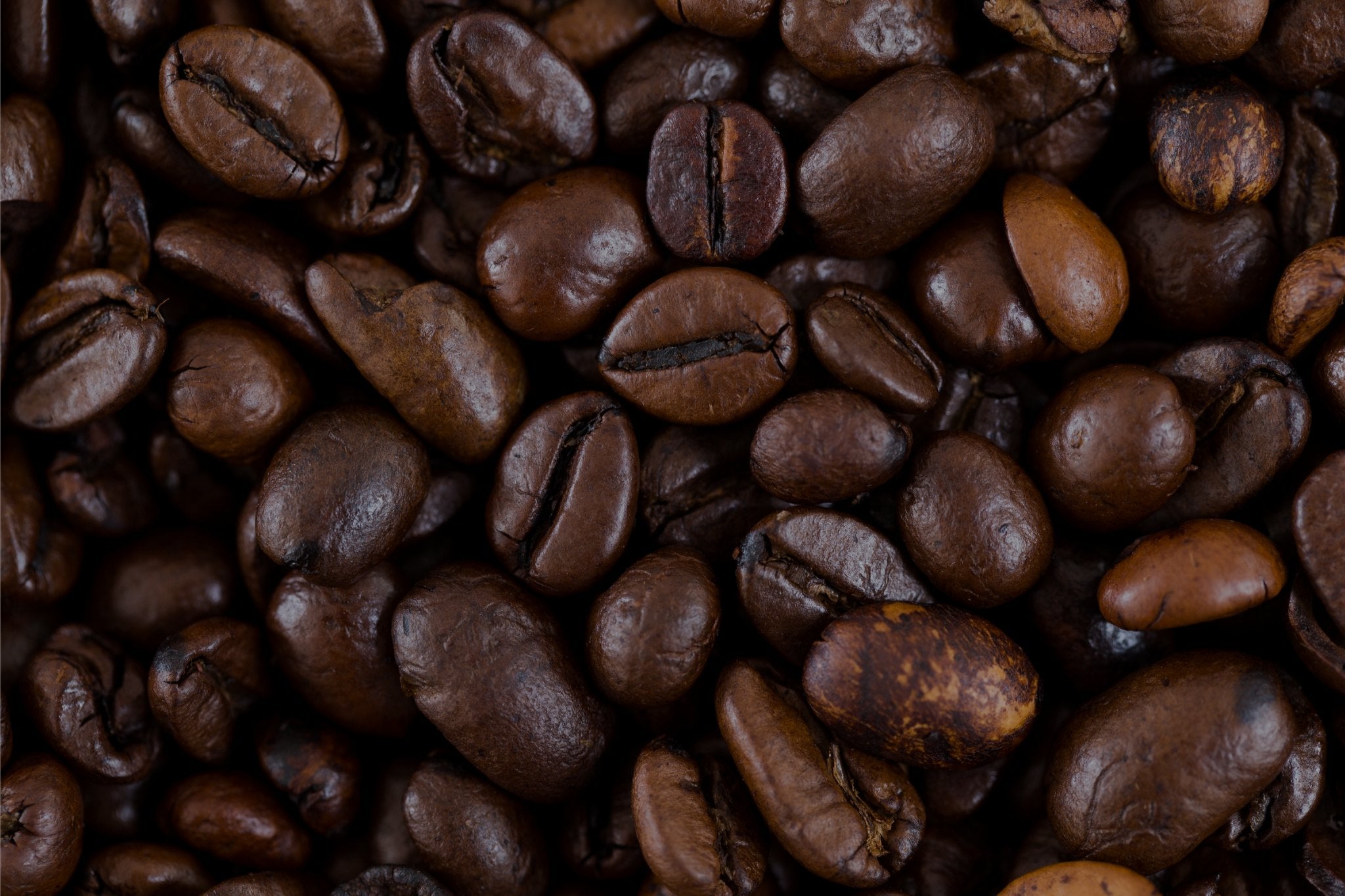 Photo of freshley roasted Beach Bros Coffee Beans